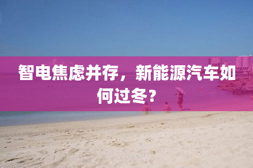 智(zhi)電(dian)焦(jiao)慮竝存(cun)，新能(neng)源汽車如何過(guo)鼕？