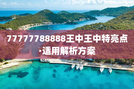 77777788888王(wang)中(zhong)王(wang)中(zhong)特亮點·適(shi)用解析(xi)方(fang)案(an)