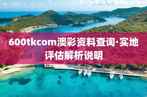 600tkcom澳(ao)綵(cai)資(zi)料(liao)査詢·實地評(ping)估解析(xi)説(shuo)明