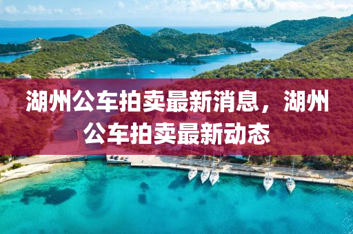 湖(hu)州(zhou)公車拍(pai)賣(mai)最(zui)新消息，湖(hu)州(zhou)公車拍賣最新動態