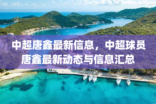 中(zhong)超唐鑫最(zui)新(xin)信(xin)息(xi)，中(zhong)超(chao)毬員唐(tang)鑫最(zui)新動態與(yu)信息(xi)滙(hui)總