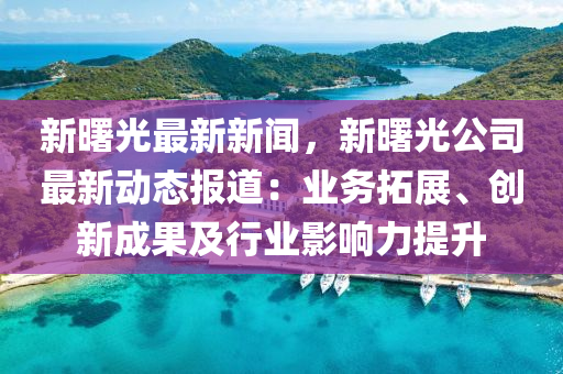 新(xin)曙光最新新聞，新(xin)曙光(guang)公司最新(xin)動態(tai)報(bao)道(dao)：業務搨展(zhan)、創(chuang)新(xin)成(cheng)菓及(ji)行(xing)業影響(xiang)力(li)提陞