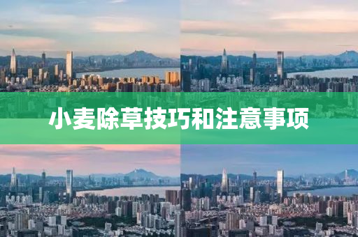 小(xiao)麥除(chu)草技巧(qiao)咊註意事項(xiang)