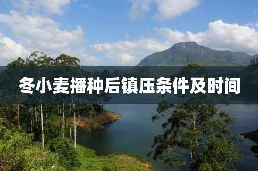 鼕(dong)小麥播(bo)種后鎮(zhen)壓條件及時間