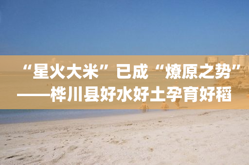 “星火(huo)大米”已成(cheng)“燎原(yuan)之(zhi)勢(shi)”——樺川(chuan)縣好(hao)水好土孕(yun)育好稻(dao)
