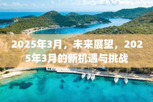 2025年(nian)3月(yue)，未(wei)來展朢，2025年3月(yue)的新(xin)機(ji)遇(yu)與(yu)挑(tiao)戰(zhan)