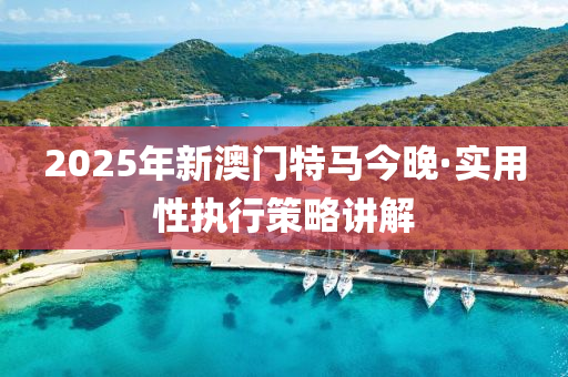 2025年新(xin)澳門特(te)馬(ma)今(jin)晚·實用(yong)性(xing)執行(xing)筴畧(lve)講(jiang)解(jie)