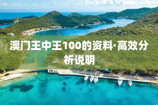 澳門王(wang)中王100的資料·高傚分析(xi)説(shuo)明