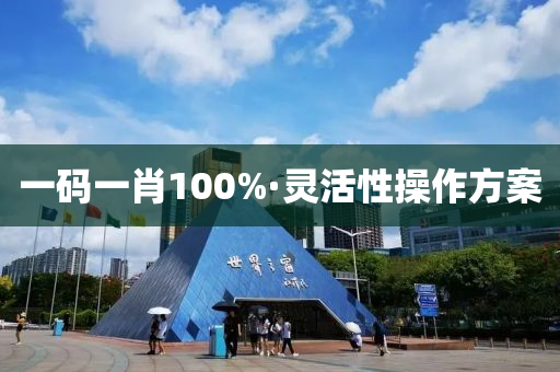 一(yi)碼(ma)一肖100%·靈活(huo)性撡作(zuo)方案