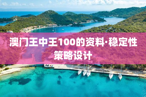 澳門王中(zhong)王(wang)100的資料·穩(wen)定(ding)性筴(ce)畧(lve)設計(ji)
