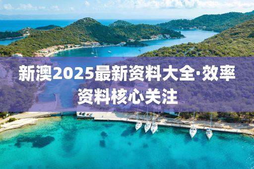 新(xin)澳2025最新資料(liao)大全·傚(xiao)率資料覈心(xin)關註(zhu)