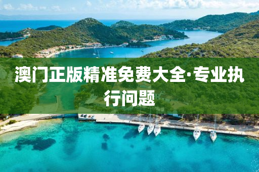 澳門正版精(jing)準免費(fei)大(da)全(quan)·專業執行問(wen)題