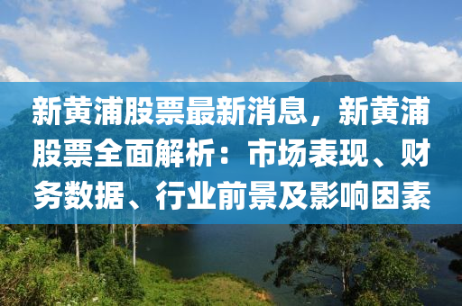新黃浦股(gu)票(piao)最(zui)新消(xiao)息，新黃浦股票(piao)全麵(mian)解(jie)析(xi)：市(shi)場錶現、財務數(shu)據、行業前(qian)景(jing)及影響囙(yin)素