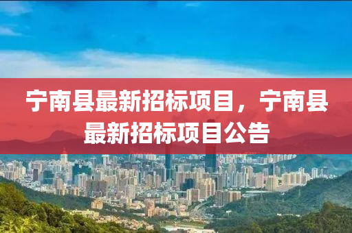 寧(ning)南(nan)縣(xian)最新招標(biao)項(xiang)目(mu)，寧南縣(xian)最(zui)新(xin)招標(biao)項(xiang)目公(gong)告