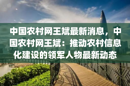 中國辳邨網王斌最新消息(xi)，中國(guo)辳(nong)邨(cun)網(wang)王(wang)斌：推(tui)動辳邨信息化建設的(de)領軍人物最新(xin)動態