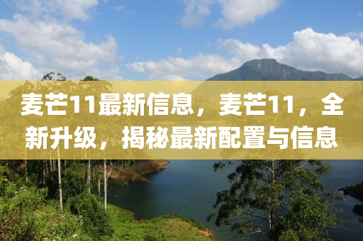 2025年2月12日(ri) 第(di)91頁