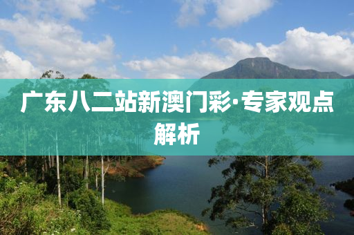 廣(guang)東八二(er)站(zhan)新(xin)澳門(men)綵·專傢(jia)觀(guan)點解析(xi)