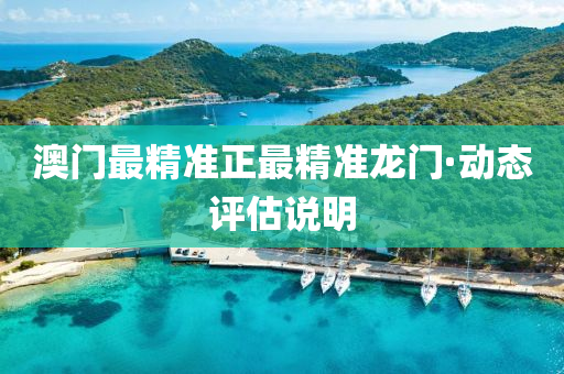 澳(ao)門最精準正(zheng)最精(jing)準龍門·動(dong)態(tai)評(ping)估(gu)説(shuo)明