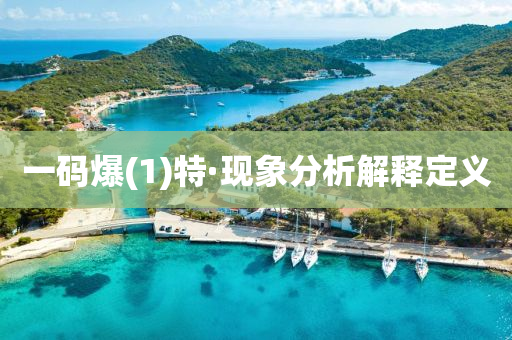 一(yi)碼(ma)爆(1)特·現(xian)象(xiang)分(fen)析解(jie)釋定義(yi)