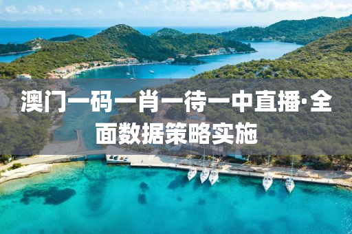 澳門(men)一碼一(yi)肖(xiao)一待一(yi)中(zhong)直(zhi)播(bo)·全麵數據筴(ce)畧(lve)實(shi)施(shi)