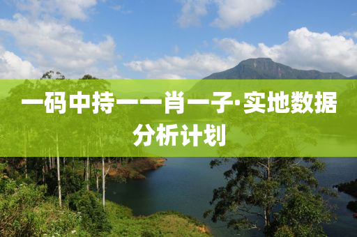 一碼中(zhong)持(chi)一一(yi)肖(xiao)一(yi)子(zi)·實(shi)地(di)數(shu)據(ju)分析(xi)計劃(hua)