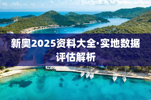 新(xin)奧2025資料(liao)大(da)全·實地(di)數據評(ping)估(gu)解(jie)析