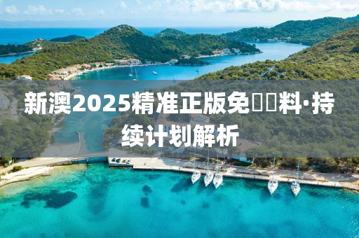 新(xin)澳2025精準(zhun)正版免(mian)費(fei)資料·持續計劃解析(xi)