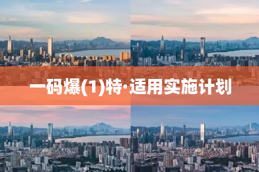 一碼(ma)爆(1)特(te)·適(shi)用實(shi)施計劃