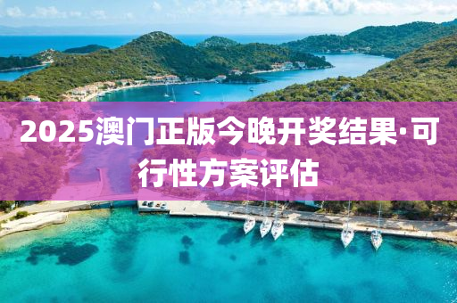 2025澳(ao)門(men)正(zheng)版今晚開(kai)獎結(jie)菓·可行(xing)性方案評估