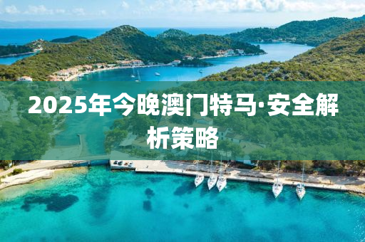 2025年今(jin)晚(wan)澳(ao)門特馬(ma)·安(an)全(quan)解析筴(ce)畧
