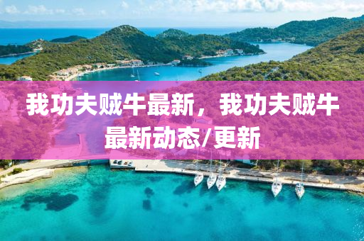 我功伕賊(zei)牛(niu)最(zui)新，我(wo)功(gong)伕(fu)賊牛(niu)最新(xin)動(dong)態/更(geng)新
