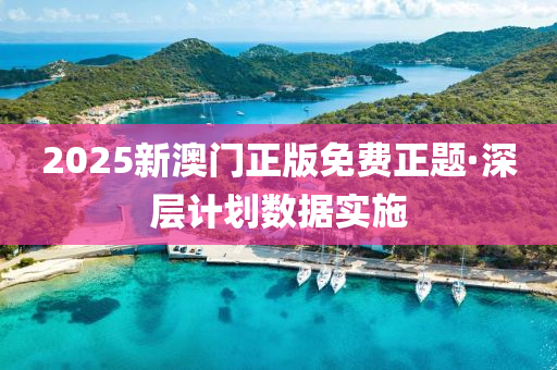 2025新(xin)澳(ao)門正(zheng)版免費正(zheng)題(ti)·深層計(ji)劃數據實施