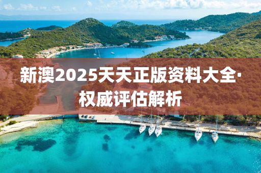 新(xin)澳2025天天(tian)正版資料大全(quan)·權(quan)威評估解析