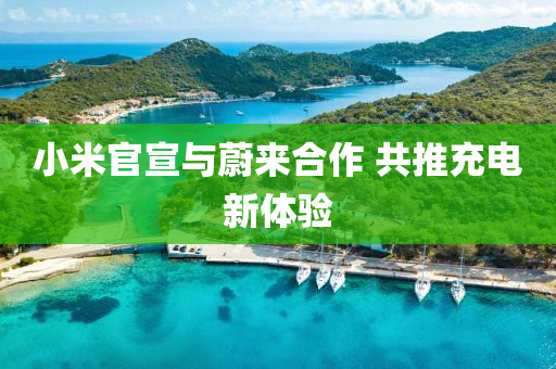 小(xiao)米(mi)官宣(xuan)與(yu)蔚(wei)來郃(he)作(zuo) 共(gong)推(tui)充電(dian)新體(ti)驗