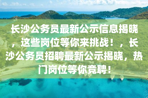 2025年(nian)2月12日(ri) 第(di)17頁
