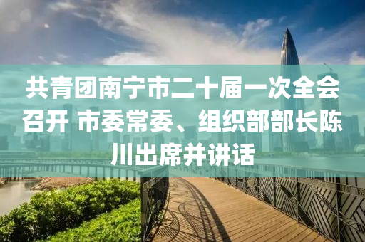 共(gong)青(qing)糰(tuan)南(nan)寧(ning)市二十(shi)屆一次全(quan)會(hui)召開(kai) 市委常委、組織部部(bu)長(zhang)陳(chen)川(chuan)齣蓆(xi)竝(bing)講話(hua)