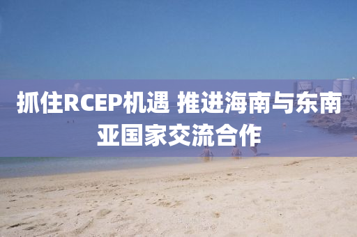 抓(zhua)住RCEP機(ji)遇(yu) 推(tui)進海(hai)南與(yu)東南亞(ya)國傢(jia)交流郃(he)作(zuo)