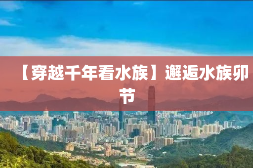 【穿(chuan)越韆年看水族(zu)】邂逅(hou)水族(zu)卯節(jie)