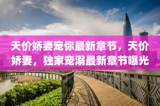天(tian)價嬌(jiao)妻(qi)寵妳最新(xin)章(zhang)節，天(tian)價嬌妻，獨傢寵溺最(zui)新章(zhang)節(jie)曝光(guang)