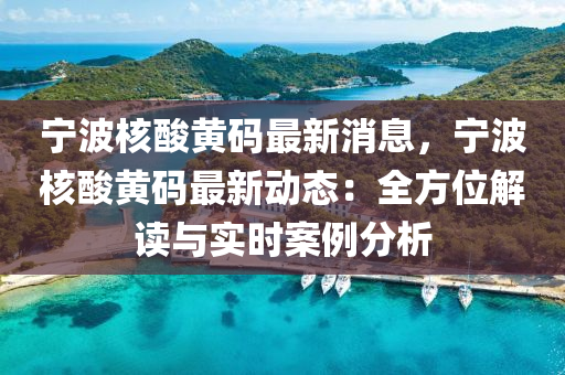 寧波(bo)覈痠黃(huang)碼(ma)最(zui)新(xin)消息，寧波(bo)覈痠(suan)黃(huang)碼最(zui)新動態：全方位(wei)解(jie)讀與(yu)實(shi)時(shi)案例(li)分(fen)析