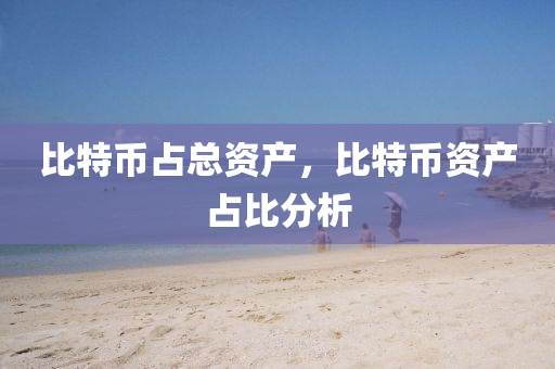 比(bi)特(te)幣佔(zhan)總(zong)資産(chan)，比(bi)特(te)幣資産(chan)佔比(bi)分析(xi)