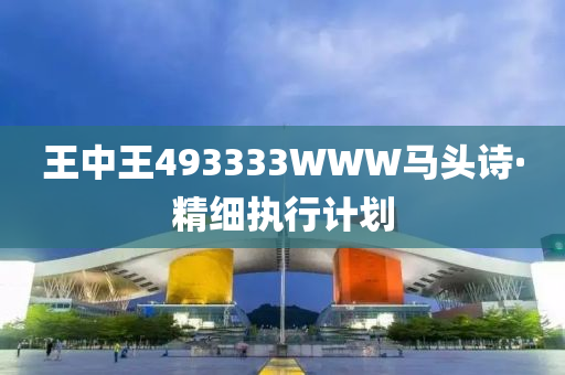 王(wang)中(zhong)王493333WWW馬(ma)頭詩(shi)·精細(xi)執行(xing)計劃(hua)