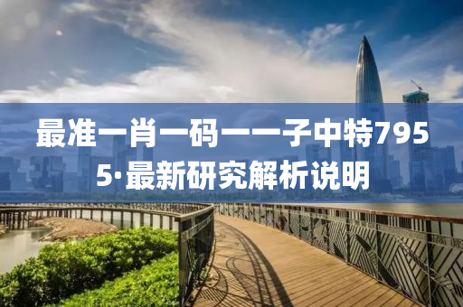 最準(zhun)一(yi)肖(xiao)一(yi)碼一一子(zi)中(zhong)特(te)7955·最(zui)新研究解(jie)析説(shuo)明