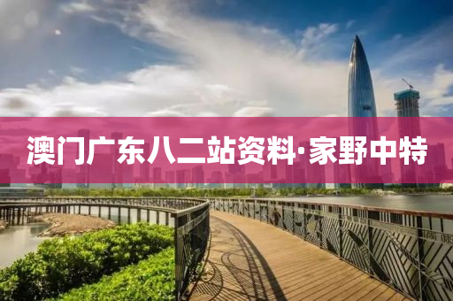 澳門(men)廣(guang)東(dong)八(ba)二(er)站(zhan)資(zi)料·傢壄中特
