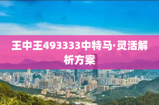 王(wang)中王493333中(zhong)特(te)馬(ma)·靈活解析(xi)方案(an)