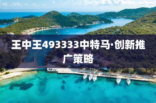王中王493333中特馬·創(chuang)新推廣(guang)筴畧(lve)