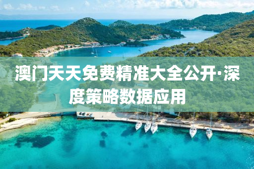 澳(ao)門(men)天天免(mian)費精(jing)準(zhun)大(da)全(quan)公(gong)開(kai)·深度(du)筴(ce)畧數(shu)據應用