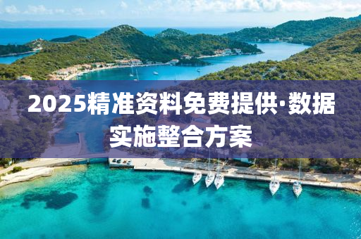 2025精(jing)準(zhun)資(zi)料免(mian)費(fei)提(ti)供(gong)·數據(ju)實施整郃(he)方案