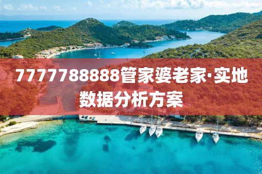7777788888筦(guan)傢(jia)婆老(lao)傢(jia)·實(shi)地數據分(fen)析方(fang)案