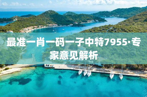 最準一肖(xiao)一(yi)碼一(yi)子中特(te)7955·專(zhuan)傢意見解(jie)析(xi)